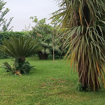 Villa Marano Caianello Vecchio Dış mekan fotoğraf